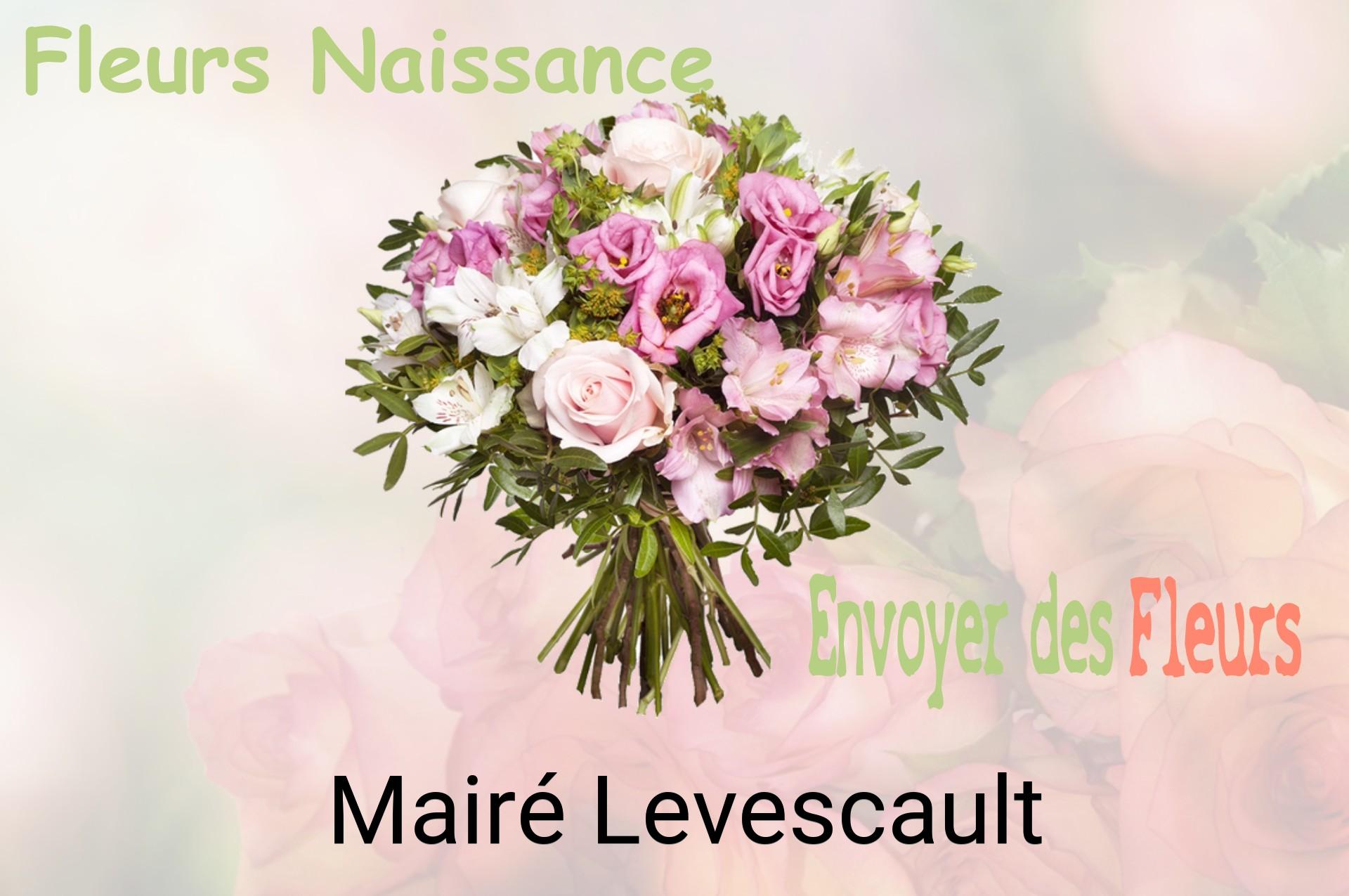 Bouquet de fleurs de naissance livré à Mairé-Levescault